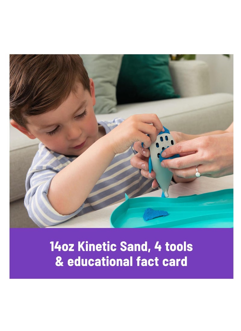 Kinetic Sand Kinetic Sand - Deep Sea 6069782  - Image 3