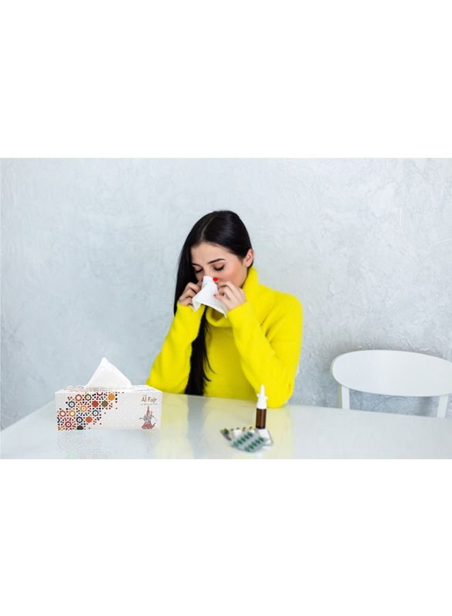 إس إن إتش باكينج علبة مناديل الوجه من الفجر، عبوة من 10 علب، كل علبة تحتوي على 200 منديل × طبقتين، بإجمالي 2000 منديل. - Image 5