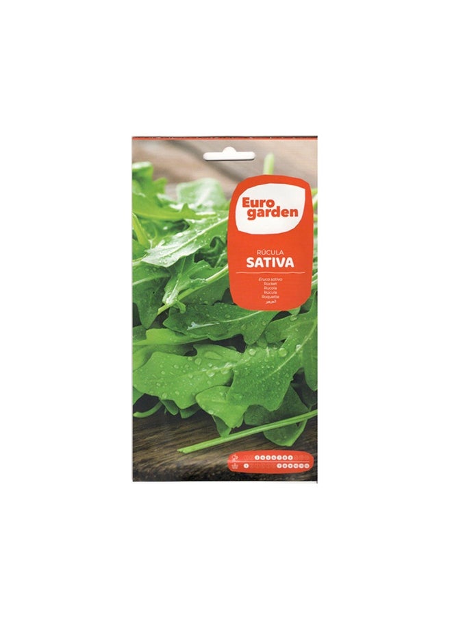 Euro Garden بذور الجرجير/الجرجير من يوروجاردن - براعم الجرجير سهلة النمو قم بزراعة براعمك الخاصة في منزلك 5G 