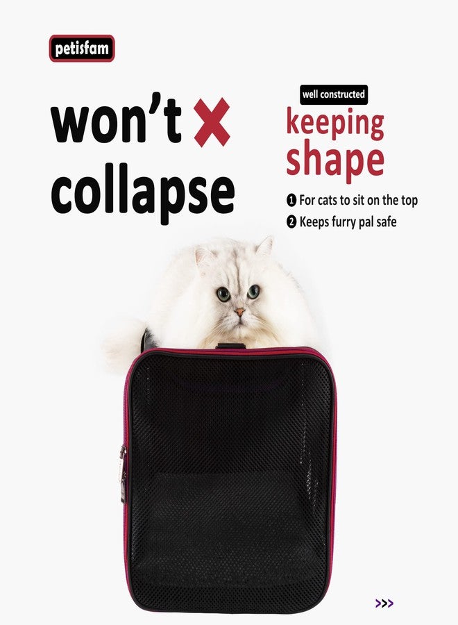 petisfam Quick-in Pet Carrier for Cats. 360° Airy Mesh Windows Let Fur-Kids See You & Breath Easy, Reduce Travel Anxiety. Rip-Stop Fabric & Lockable Zips Hug Securely. Washable Pad. Adjustable Shoulder Strap - Image 3