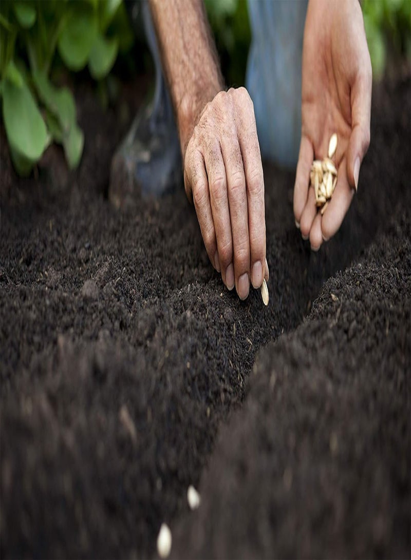 جي جوت أكثر من 4200 بذرة عضوية، بذور خضراوات وفواكه، طعام للحدائق، مستلزمات البقاء على قيد الحياة في حالات الطوارئ، المعيشة في الهواء الطلق - Image 4