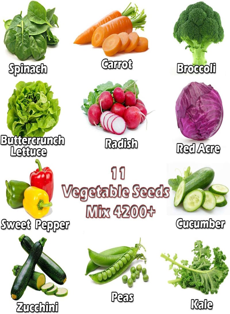 جي جوت أكثر من 4200 بذرة عضوية، بذور خضراوات وفواكه، طعام للحدائق، مستلزمات البقاء على قيد الحياة في حالات الطوارئ، المعيشة في الهواء الطلق - Image 2