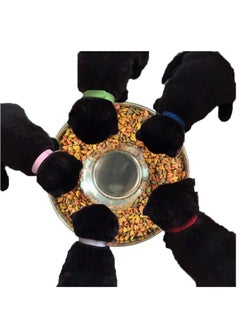 Excefore Puppy Feeding Bowls,Stainless Steel Metal Dog Bowls,Puppy Weaning Bowl Puppy Dishes,Litter Feeding Bowls for Multiple Puppies Cats Eating at Same Time for Small Medium Large Dogs  - Image 3