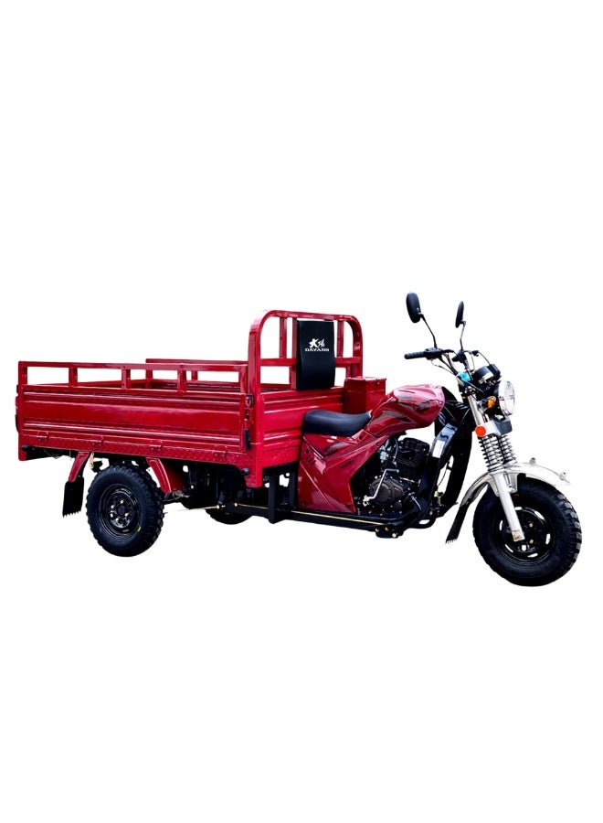 Megawheels Motorcycle Export Petrol Powered 200cc Cargo 3 Wheel Tricycle for Adults - Image 3