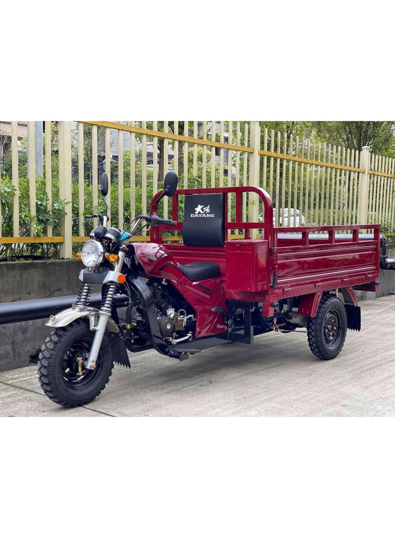 Megawheels Motorcycle Export Petrol Powered 200cc Cargo 3 Wheel Tricycle for Adults - Image 4
