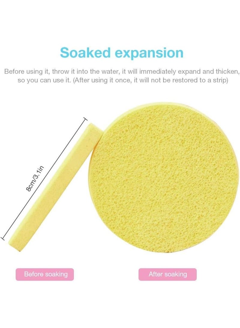 12 قطعة من وسادات الإسفنج المستديرة لإزالة المكياج الاحترافية للوجه، منظفة ومقشرة للنساء - Image 2