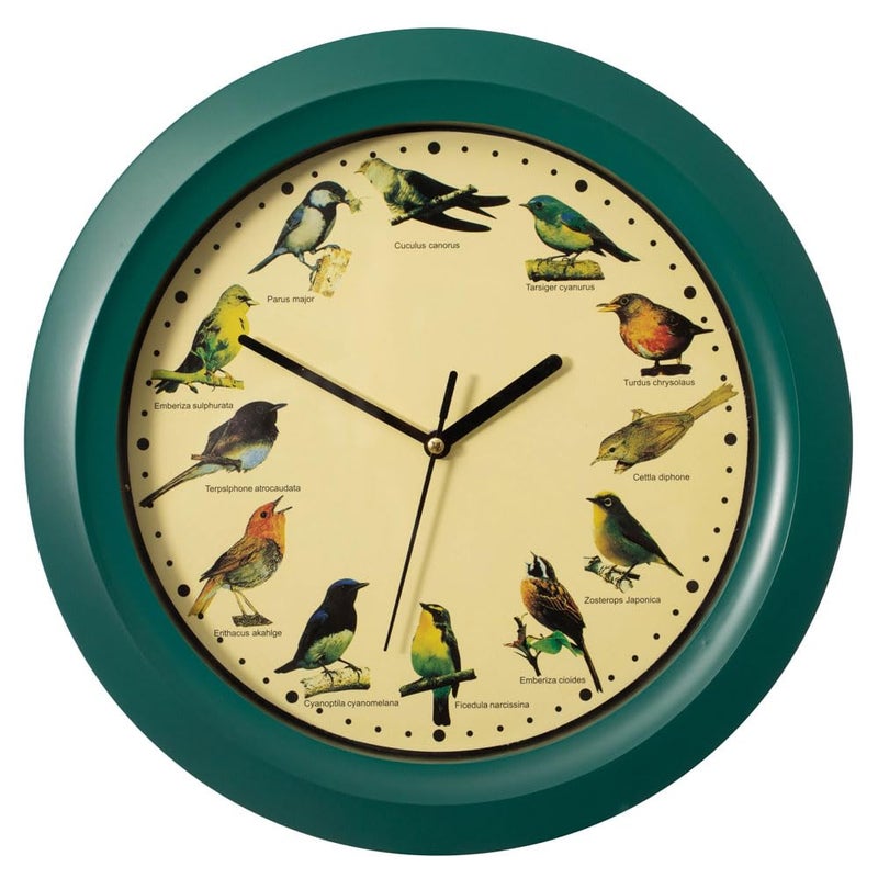 Clockswise 12 Round Decorative Singing Bird Wall Clock BatteryOperated with Wild Nature Sounds Hourly Chime and NonTicking for Home Office Kitchen Dining Bedroom Classroom and Living Spaces Green