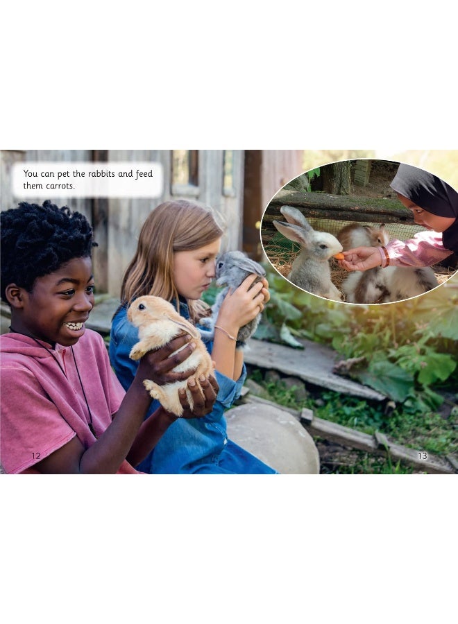 Town Farm: Phase 3 Set 1 - Image 3