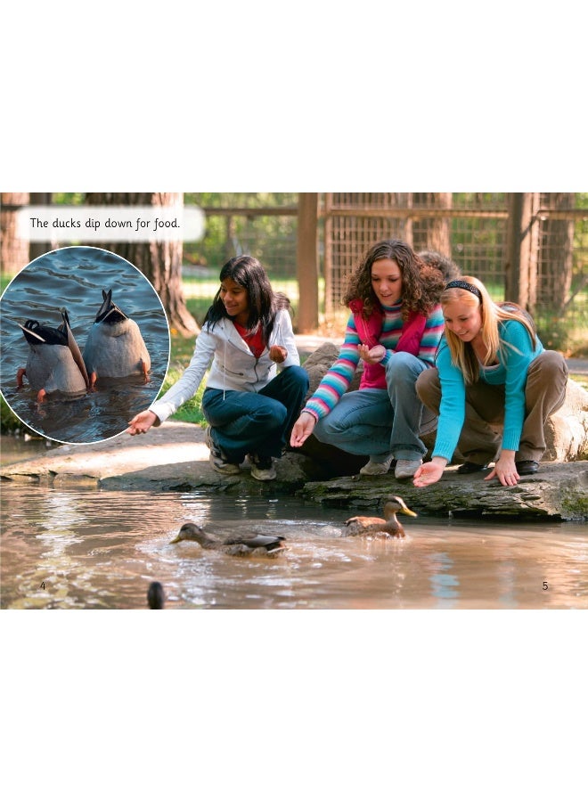 Town Farm: Phase 3 Set 1 - Image 2