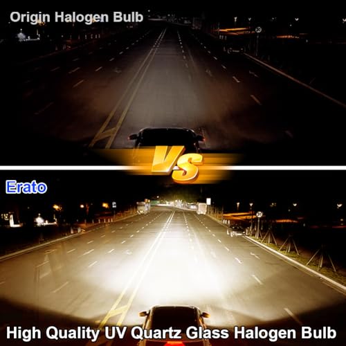 ERATO مصباح هالوجين إيراتو H4/9003/HB2 12V 55W/60W لاضاءة الضباب 4300K أبيض دافئ بديل لمصباح P43T (عبوتين) - Image 2