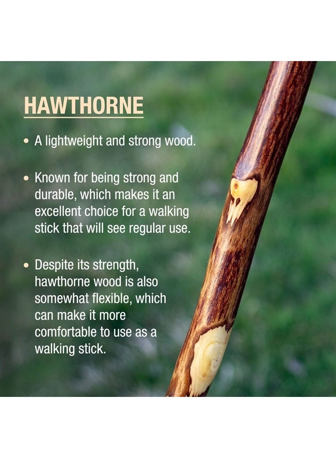 Brazos Rustic Wood Walking Stick, Hawthorn, Traditional Style Handle, for Men & Women, Made in the USA, 55" - Image 3
