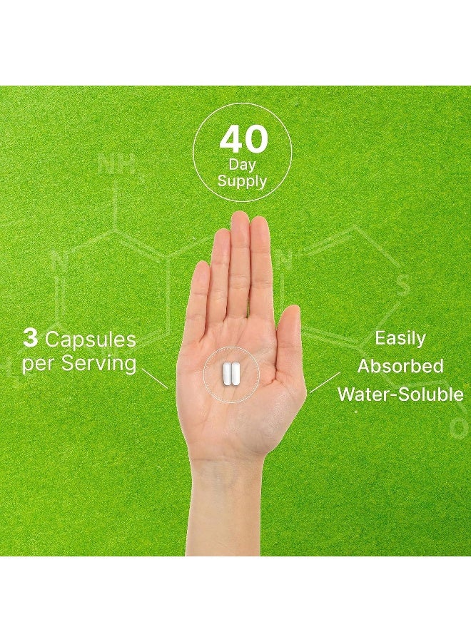 DEAL SUPPLEMENT Citicoline CDP Choline, 1,000mg Per Serving, 120 Capsules - Image 5