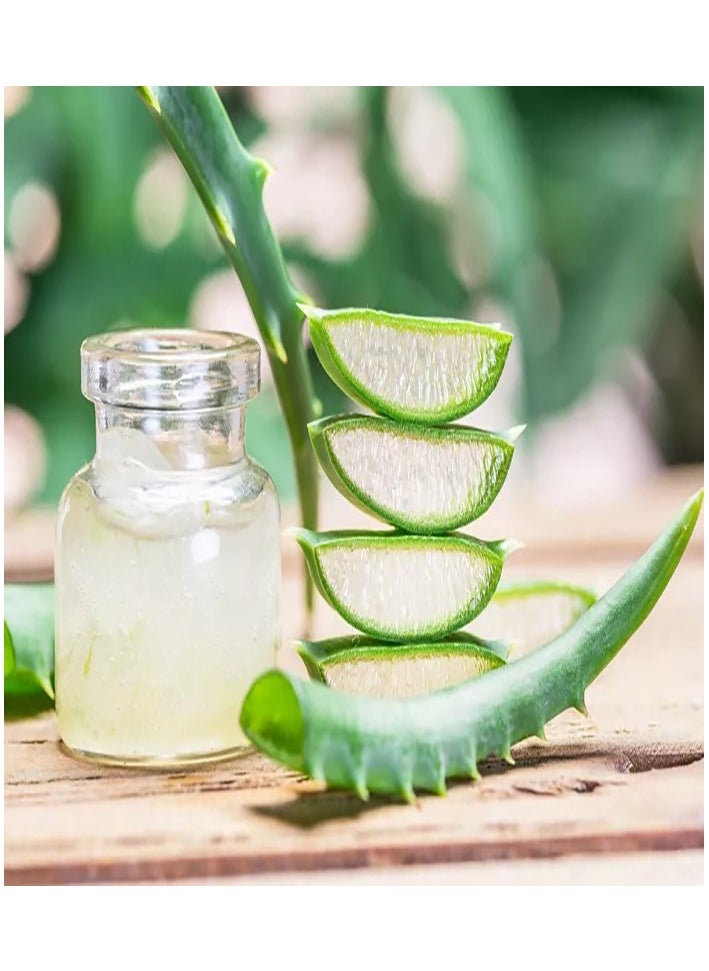 AMYTIS GARDEN - ِAloe Vera & Licorice Soothing Moisturizing Gel - Image 1
