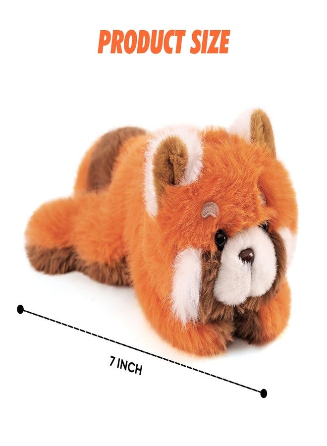 PEACH CAT قطة الخوخ، باندا حمراء محشوة، 7 بوصات، دمى قطيفة لطيفة وناعمة، هدايا للأطفال - Image 5