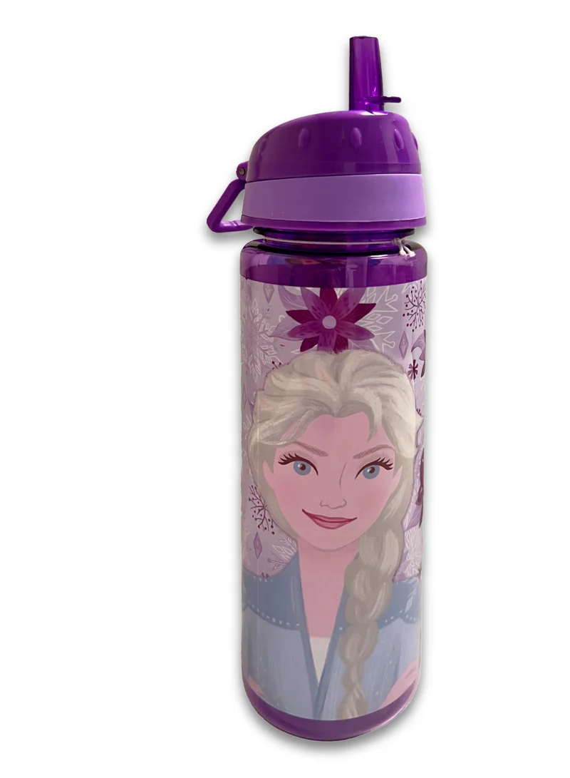 Disney Disney Frozen Find Your Destiny Water Bottle 750ml