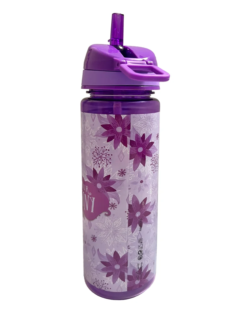 Disney Disney Frozen Find Your Destiny Water Bottle 750ml
