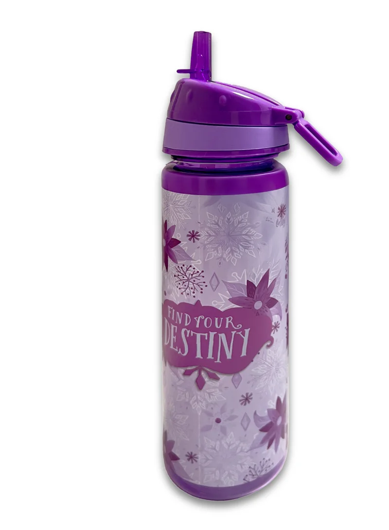 Disney Disney Frozen Find Your Destiny Water Bottle 750ml