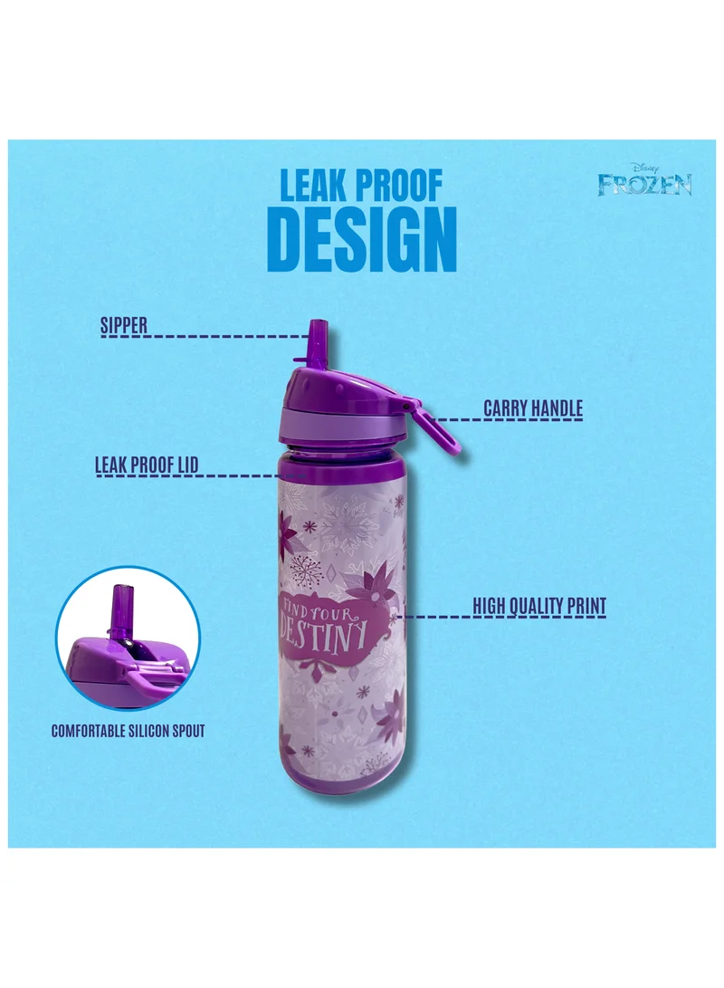 Disney Disney Frozen Find Your Destiny Water Bottle 750ml