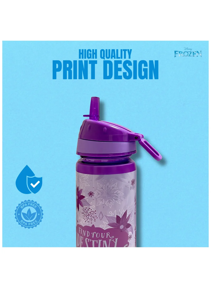 Disney Disney Frozen Find Your Destiny Water Bottle 750ml