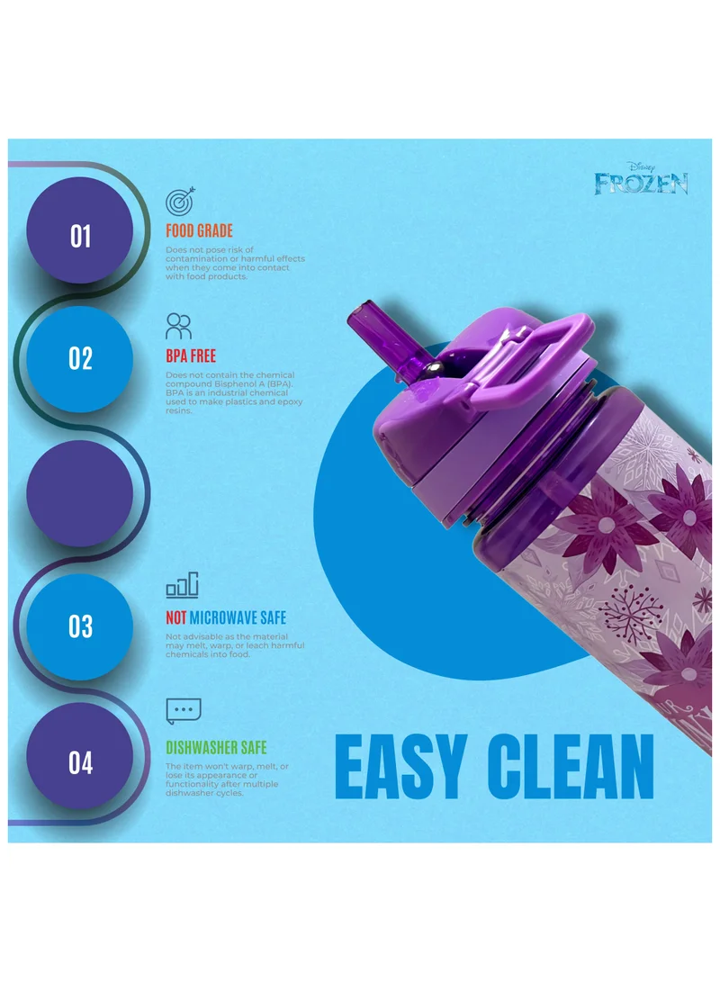 Disney Disney Frozen Find Your Destiny Water Bottle 750ml
