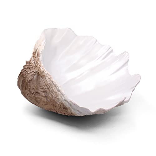 Accessoryway Large EarthTan-White Sea Shells Decorative Bowl Resin Clam Shell Bowl Beach Decorations for Home Coastal Beach Decor Decoration Storage Bowls & Home Office Nautical Themed Party Decor -10.2"-1PC - Image 1