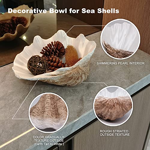 Accessoryway Large EarthTan-White Sea Shells Decorative Bowl Resin Clam Shell Bowl Beach Decorations for Home Coastal Beach Decor Decoration Storage Bowls & Home Office Nautical Themed Party Decor -10.2"-1PC - Image 2