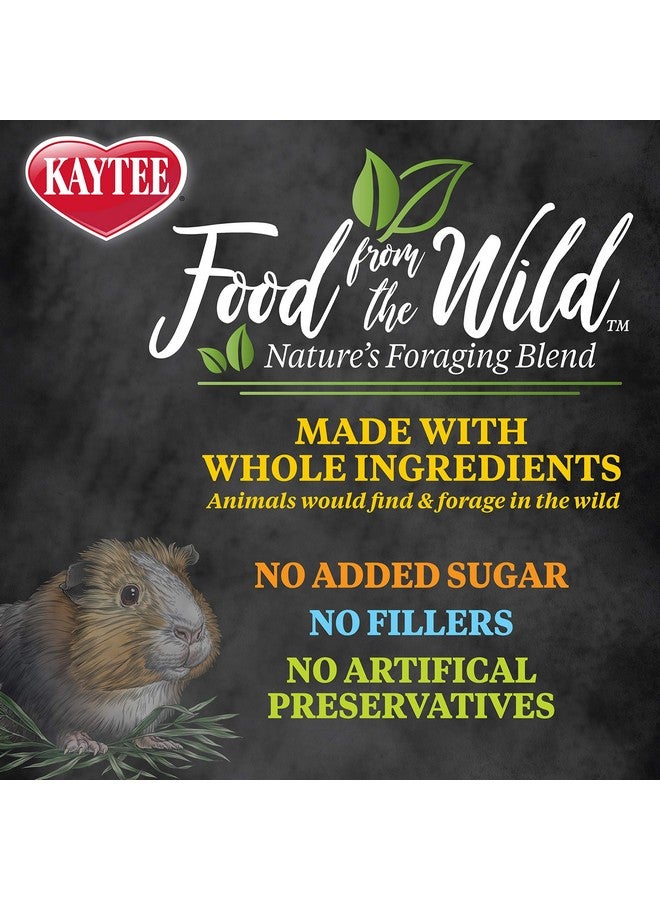 Kaytee Food from The Wild Natural Pet Guinea Pig Food, 4 Pound - Image 4