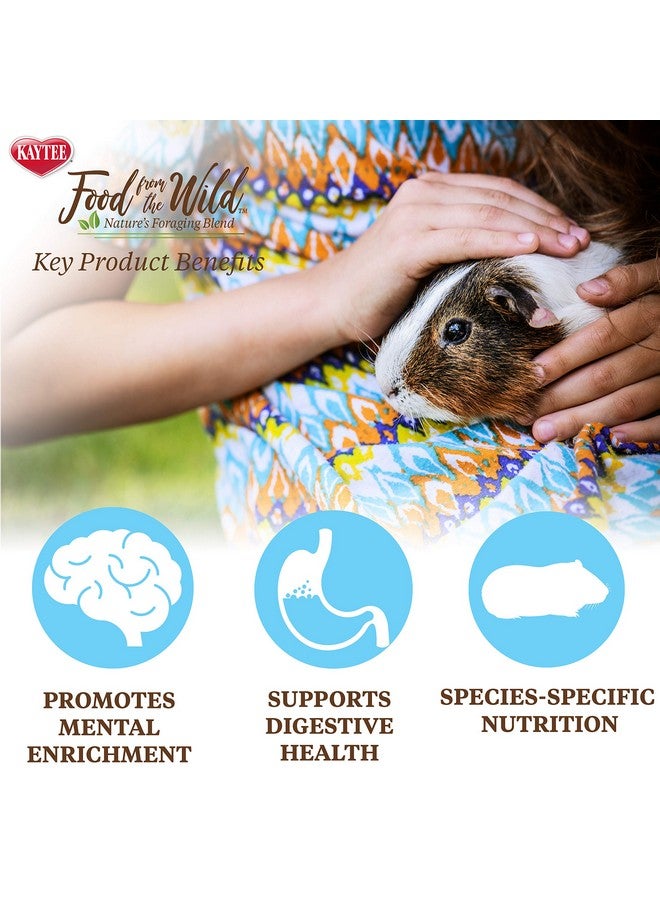 Kaytee Food from The Wild Natural Pet Guinea Pig Food, 4 Pound - Image 5