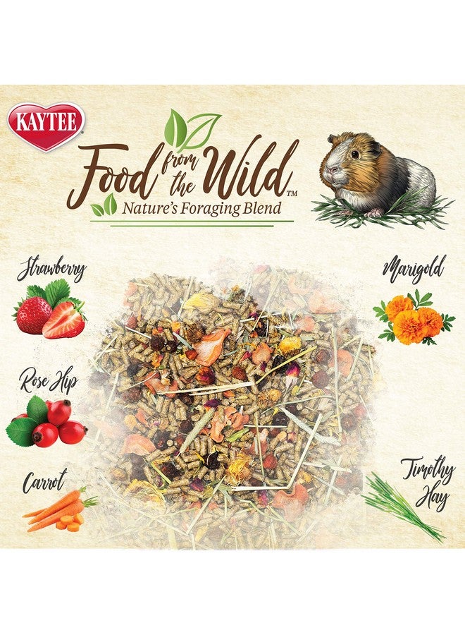 Kaytee Food from The Wild Natural Pet Guinea Pig Food, 4 Pound - Image 3