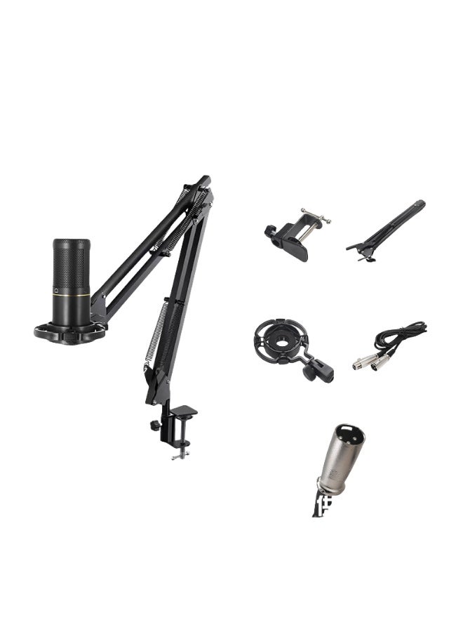 EBMINI New Professional Home KTV Singing Recording Home Karaoke Microphone