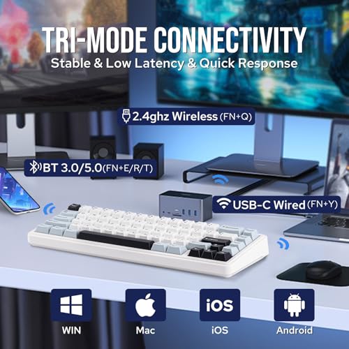 EPOMAKER x Aula F65 65% Wireless Mechanical Keyboard, Hot Swappable Gasket Custom Gaming Keyboard with Five-Layer Padding, RGB Backlit, Bluetooth/2.4GHz/USB-C (Light Blue, Reaper Switch) - Image 3