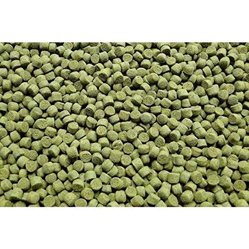 Northfin Veggie Fish Food Formula – Slow Sinking Pellets for Herbivorous Fish (2mm, 100g) | Premium Organic Kelp-Based Diet with Spirulina & Astaxanthin for Enhanced Color & Digestive Health - Image 4