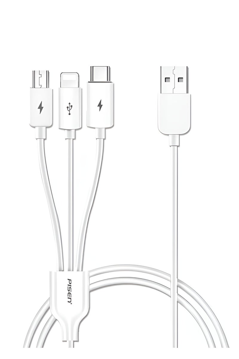 Pisen 3 in 1 Universal Multiple USB Charging Cable with Type C/Micro USB/Lightening Ports Compatible with Most Phones & iPads - Image 1