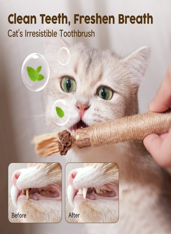 Potaroma 6 Pcs Natural Silvervine Sticks Cat Toys, Catmint Silvervine Blend Sticks, Kittens Chew Toys for Teeth Cleaning, Matatabi Dental Care Cat Treat, Edible Kitty Lick Toys - Image 4