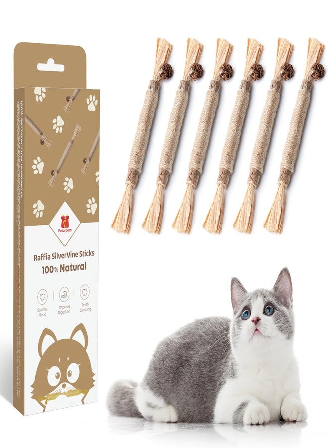 Potaroma 6 Pcs Natural Silvervine Sticks Cat Toys, Catmint Silvervine Blend Sticks, Kittens Chew Toys for Teeth Cleaning, Matatabi Dental Care Cat Treat, Edible Kitty Lick Toys - Image 1
