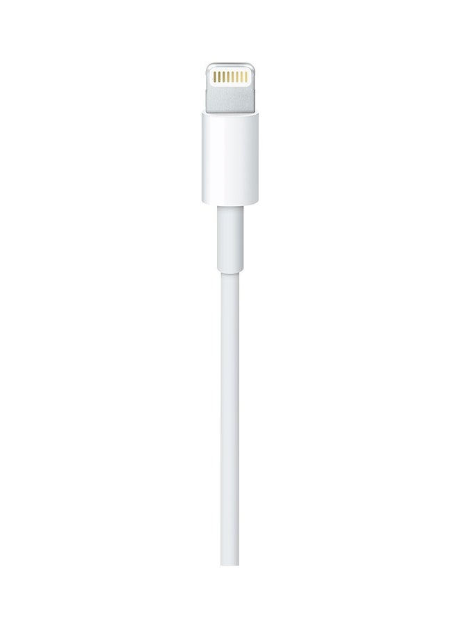 DUSALA 8 Pin Lightning To 1080p HDMI HDTV AV TV Adapter Cable Cord For Apple iPhone X/7/7-Plus/6/6s-Plus And iPad Pro/Air 2/iPad Mini 4 White  - Image 2