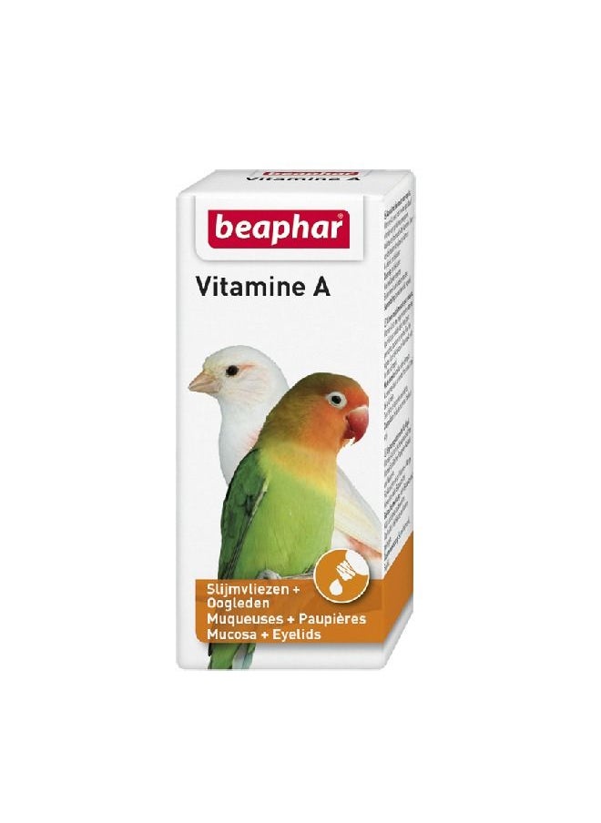 Vitamin A Bird 20ml - pzsku/Z5BDD871094A0CED4F412Z/45/_/1680179685/503af9b5-7e65-427d-b4e4-67d03cd2a90e