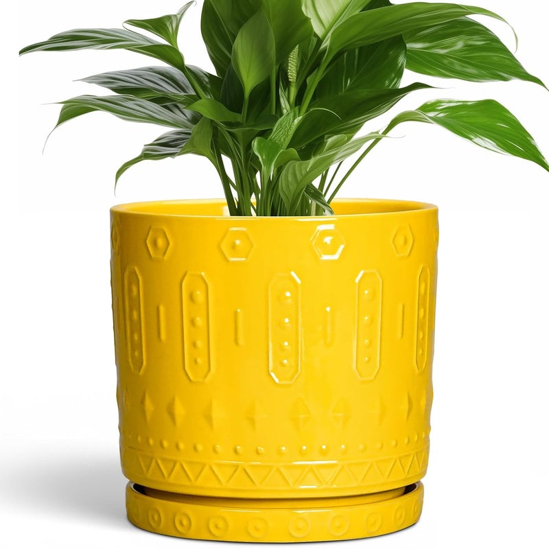 Eightpot 8 Inch Ceramic Planter Pot Plant Pot with Drainage Hole and Saucer, Round Large Flower Pot for Indoor Plants Outdoor Garden Planter Pot, Yellow - Image 1