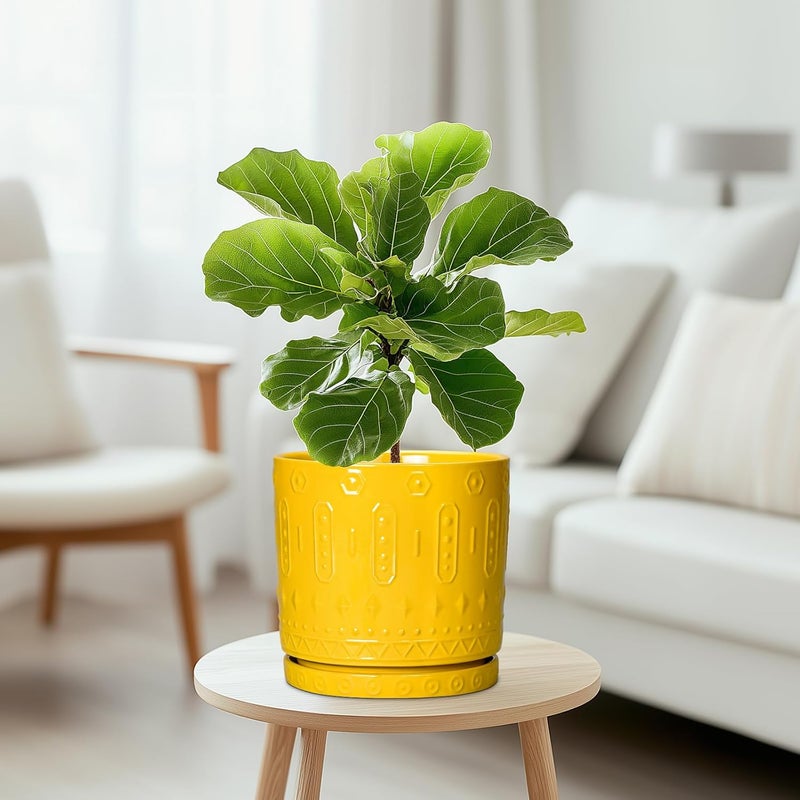 Eightpot 8 Inch Ceramic Planter Pot Plant Pot with Drainage Hole and Saucer, Round Large Flower Pot for Indoor Plants Outdoor Garden Planter Pot, Yellow - Image 5