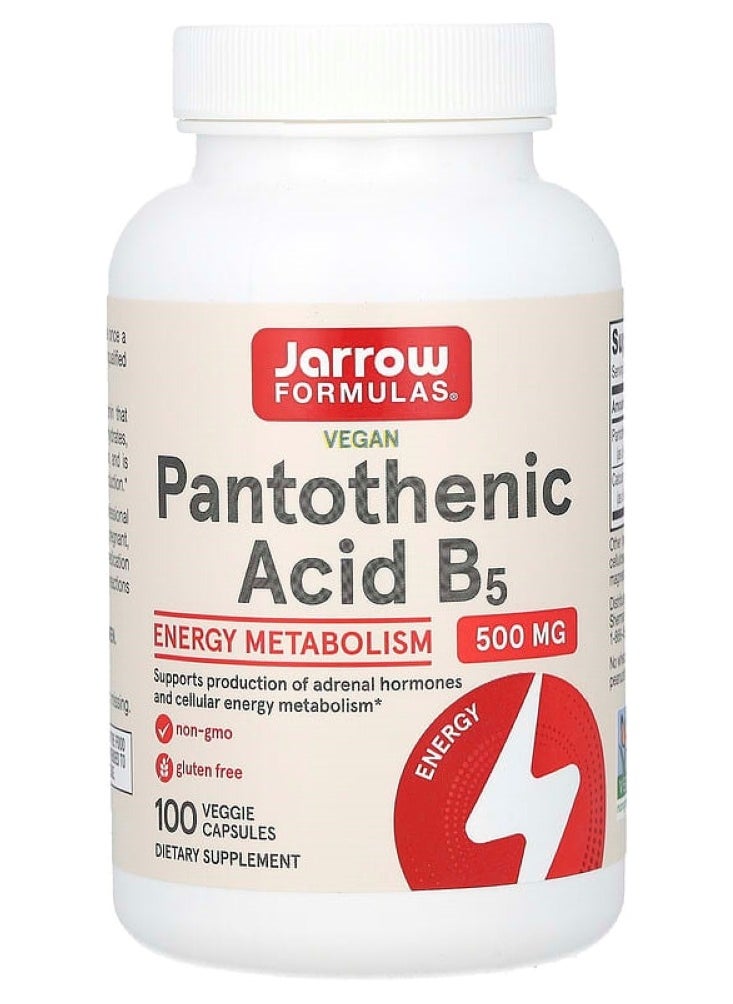 jarrow formulas Pantothenic Acid B5 500 mg 100 Veggie Capsules 