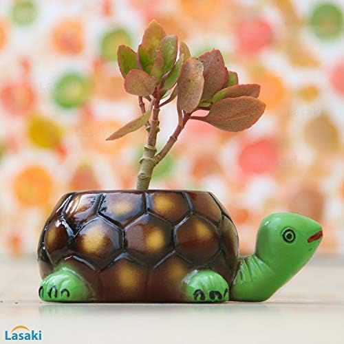 Lasaki Cute Tortoise Hand-Painted Green Neck Big Ceramic Plant Pot with Drain Holes | Planter for Indoor & Outdoor Plants | Pots Balcony,Home,Garden & Office Succulent Pot(L:19.5 Cm W:13.5 Cm H:7 Cm) - Image 2