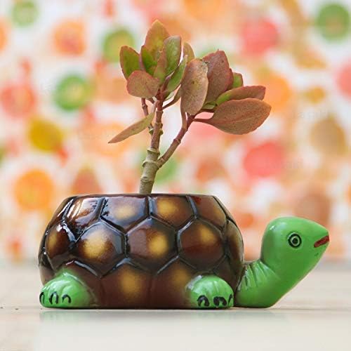 Lasaki Cute Tortoise Hand-Painted Green Neck Big Ceramic Plant Pot with Drain Holes | Planter for Indoor & Outdoor Plants | Pots Balcony,Home,Garden & Office Succulent Pot(L:19.5 Cm W:13.5 Cm H:7 Cm) - Image 1