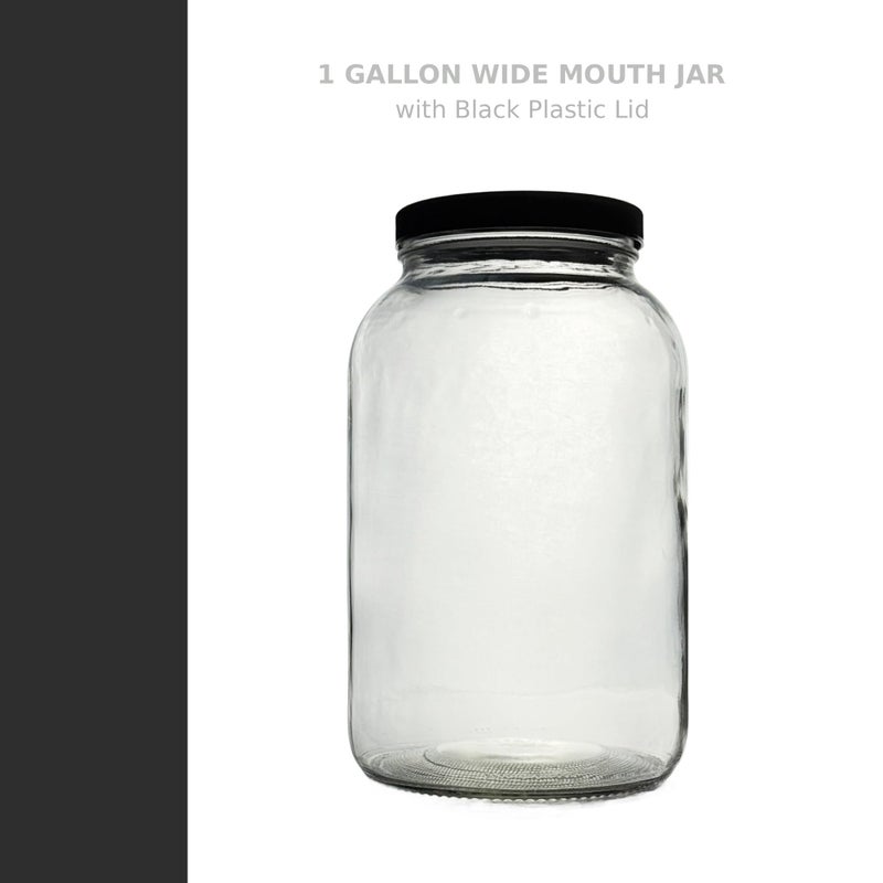North Mountain Supply 1 Gallon Glass Jar Wide Mouth with Black Plastic Lid - USDA, BPA-Free, Made in the USA - for Fermenting, Storing, Canning, and Much More! - Image 2