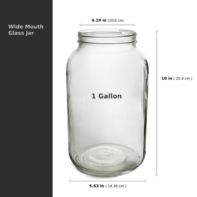 North Mountain Supply 1 Gallon Glass Jar Wide Mouth with Black Plastic Lid - USDA, BPA-Free, Made in the USA - for Fermenting, Storing, Canning, and Much More! - Image 3