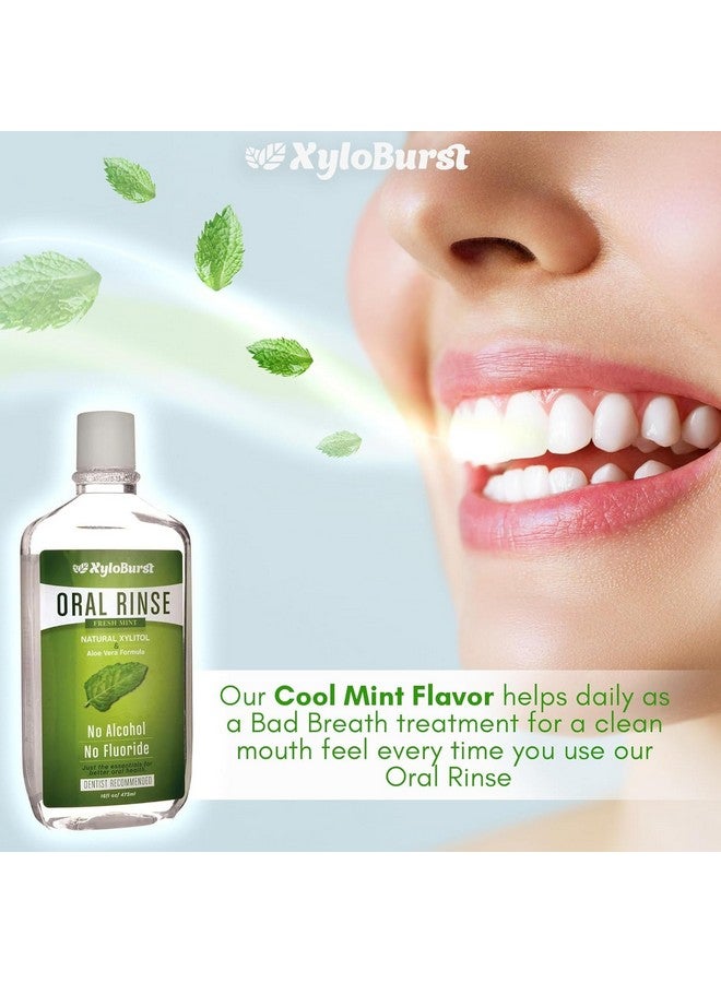 زيلوبرست غسول الفم XyloBurst Fresh Breath Oral Rinse مع إكسيليتول طبيعي - خالٍ من الكحول والفلورايد وSLS - نعناع منعش (عبوة من 3 قطع سعة 16 أونصة) - Image 3