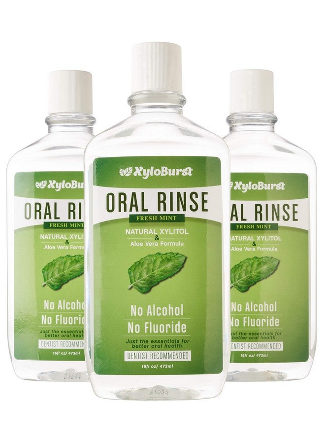 زيلوبرست غسول الفم XyloBurst Fresh Breath Oral Rinse مع إكسيليتول طبيعي - خالٍ من الكحول والفلورايد وSLS - نعناع منعش (عبوة من 3 قطع سعة 16 أونصة) - Image 1