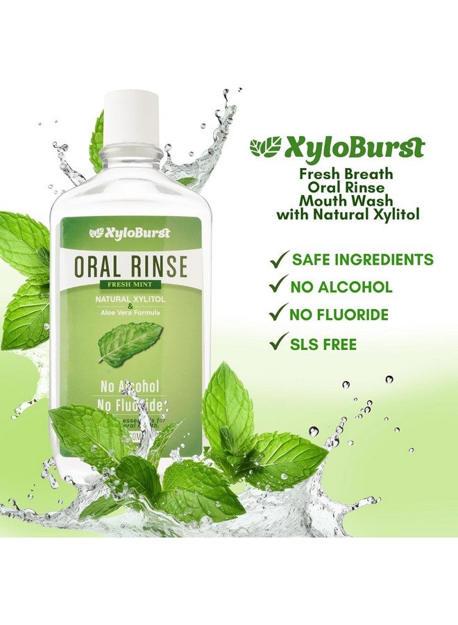 زيلوبرست غسول الفم XyloBurst Fresh Breath Oral Rinse مع إكسيليتول طبيعي - خالٍ من الكحول والفلورايد وSLS - نعناع منعش (عبوة من 3 قطع سعة 16 أونصة) - Image 2