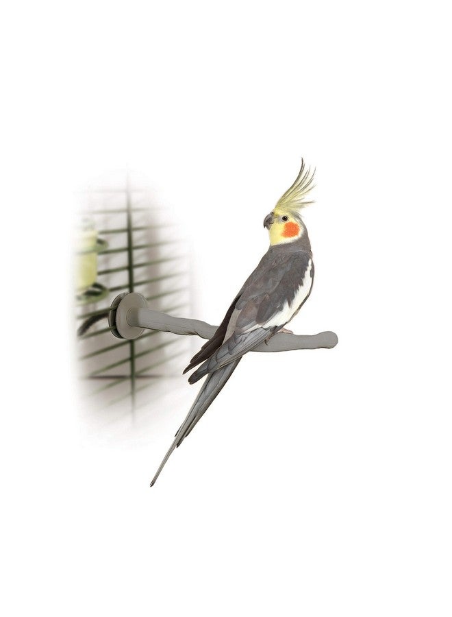 ThermoPerch Heated Bird Perch Gray Small 1 X 10.5 Inches