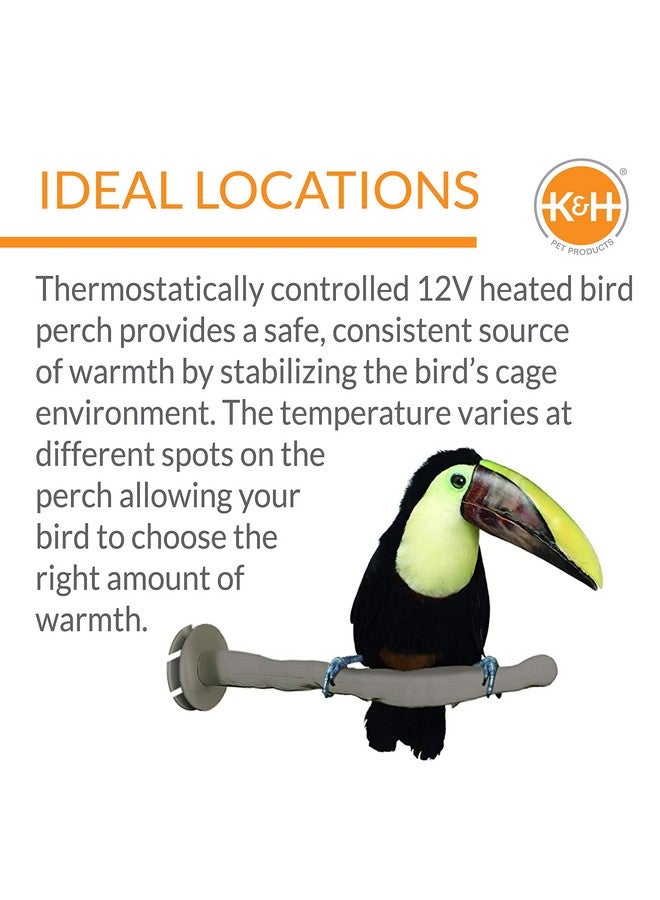 ThermoPerch Heated Bird Perch Gray Small 1 X 10.5 Inches