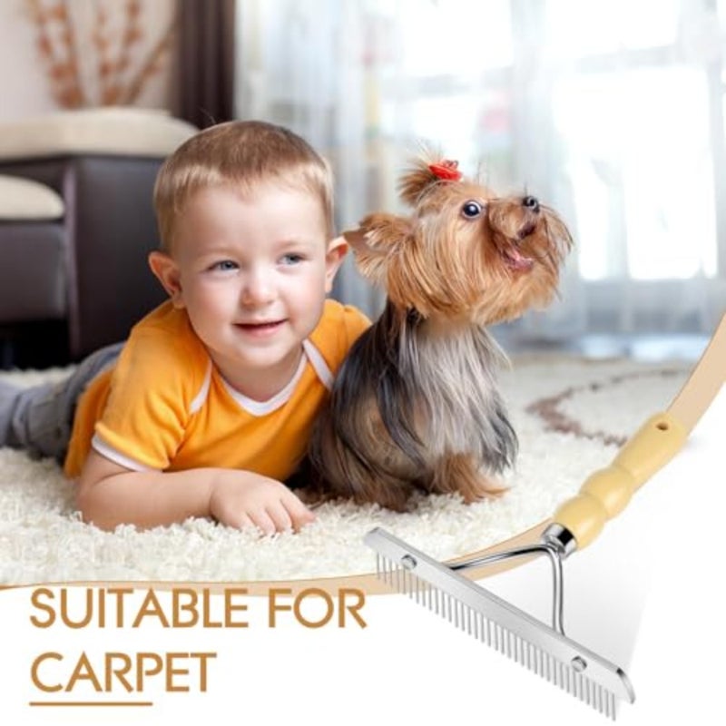 Hand Held Carpet Rake Pet Hair Remover, Carpet Portable Shag Rug Rake, Long Handle Low Pile Carpet Scraper Lint Remover for Cat Hair Removal, Carpet Corrector Comb Restore Carpet Softness 7inch - Image 5